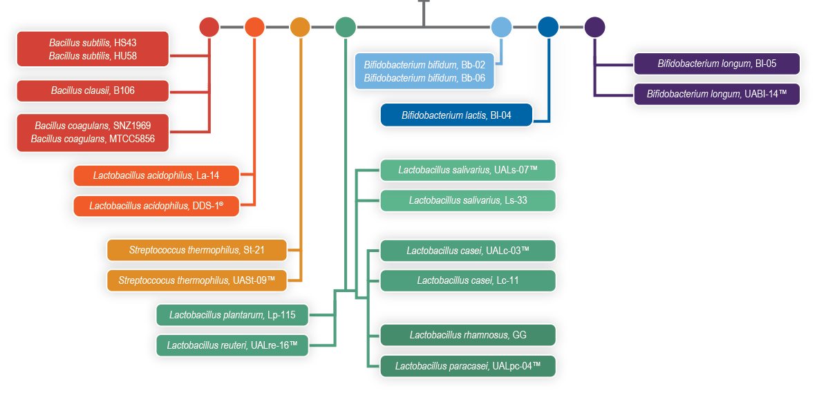 Phylogenetic Tree graph image